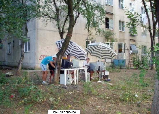 poze intr seara Camatar de Trib