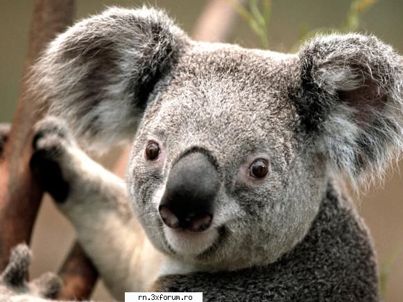 oo yes  :rotfl: costin4