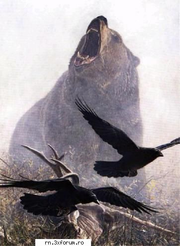 poze cei din retea sunt papabear !!!!!!!!