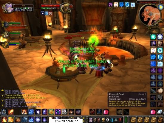 Alianta ... niste jucatori extraordinari - la fel- gura mica - Server RN  World Of Warcraft - Recycle Bin