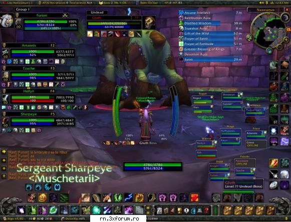 Amintiri din...old Millenium :) - Raid ... miss that shit =( - WoW MilenniuM Reborn