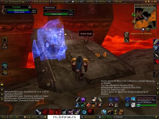 ..:: BAN WOW - update 25 Februarie 2007 ::.. - Ma plimbam si eu p - Server RN  World Of Warcraft - Recycle Bin