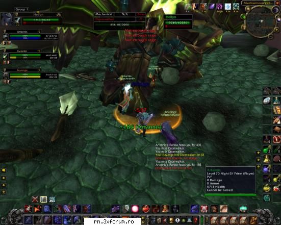 Bossi batuti de Muschetarii in BC - Fratele lui Geaman Doomwalker - ..:: Guild - MUSCHETARII - Alliance ::..