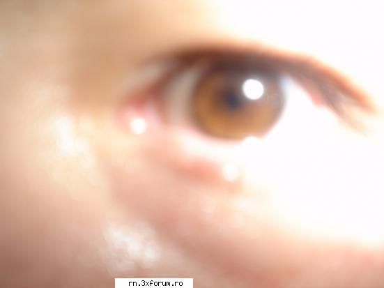 Caut Nevasta ( TU MA NU EU ) - DeeDee :) luv u :))) sunt simpatic nu ?:p I need - Fii nebun ...