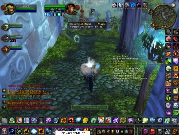 Crit-uri Record - am patit asa ceva la gruul .. puneai paladinii - WoW MilenniuM Reborn