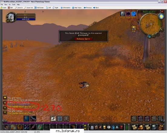 Fiti Atenti... Pt un GM - Imi dau un heal de -270 WTF trebuia sa creasca - Server RN  World Of Warcraft