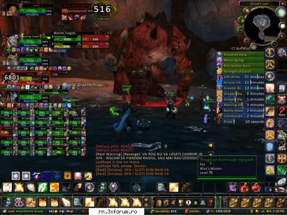 Gruul the Dragonkiller Down - shamanuro - Server RN  World Of Warcraft