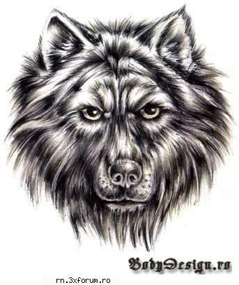 Maulgar buguit - plm pana nu da padas un raspuns nici nu ma mai - Server RN  World Of Warcraft