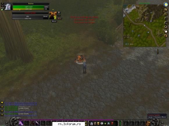 MilenniuM - Reborn - am uitat sa pun ss cu bosu :) - Server RN  World Of Warcraft