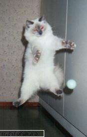 POZE FUNNY :D - Voltzi - Fii nebun ...