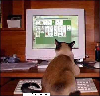 POZE FUNNY :D - Anushka - Fii nebun ...