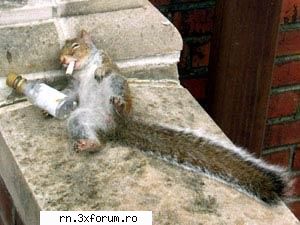 POZE FUNNY :D - Anushka - Fii nebun ...