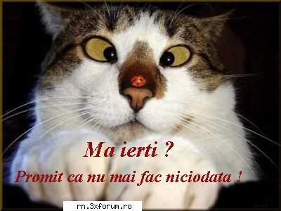 POZE FUNNY :D - Anushka - Fii nebun ...