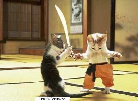 POZE FUNNY :D - Anushka - Fii nebun ...