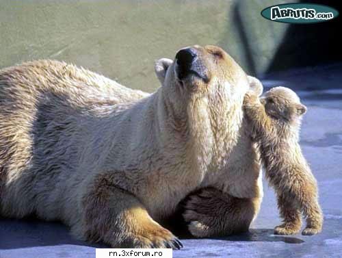 POZE FUNNY :D - sa-ti spun un secret....=D - Fii nebun ...