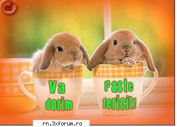 POZE FUNNY :D - Liniste mare........................ Paste - Fii nebun ...