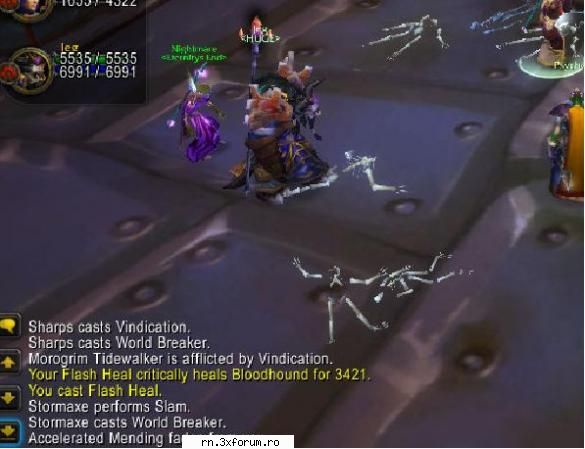 ..:: Recorduri in joc ::.. - deci e un FLASH heal crit - Server RN  World Of Warcraft