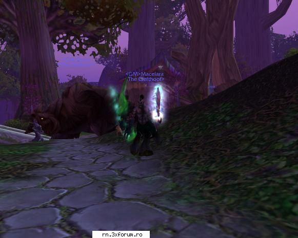 Server WoW - Burning Crusade - 13 Ianuarie 2008 - M-am apucat de Dota in wow ... tre sa-mi fac - Recycle Bin
