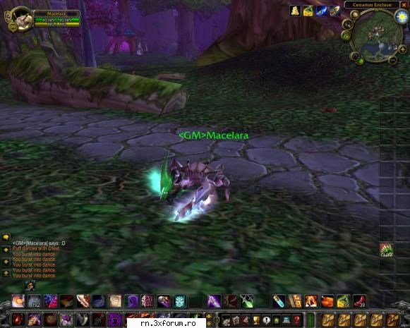 Server WoW - Burning Crusade - 13 Ianuarie 2008 - A da...si adevarata OXFORM ... not a bull - Recycle Bin