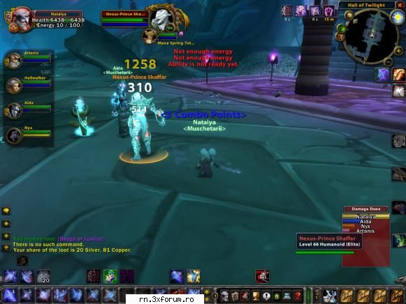 Trebuie marit XP Rateul - shamanuro - Server RN  World Of Warcraft