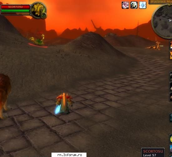 :)) marph - ce bug marph. animalu ala mia fost pet odata si - Server RN  World Of Warcraft - Recycle Bin