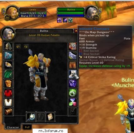 soketuri - din simpla curiozitate e voie cu asa ceva? - Server RN  World Of Warcraft