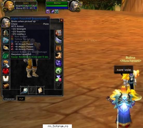 soketuri - holera - Server RN  World Of Warcraft